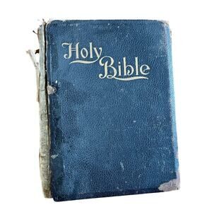 Antique The New Illuminated Holy Bible 1897 Frank E. Wright AS IS